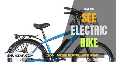 Electric Bike Revolution: Have You Seen the Future?