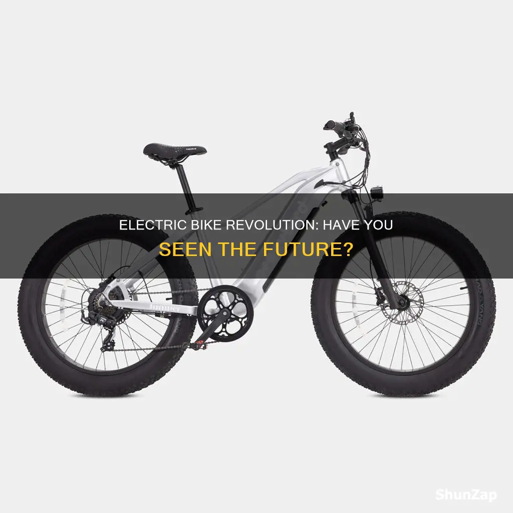 have you see electric bike