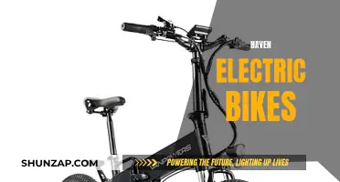 Haven Electric Bikes: The Ultimate Green Commute