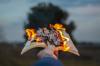 heat smoke