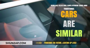Electric, Hybrid, and Traditional Cars: Shared Features and Common Ground