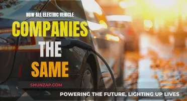 Electric Vehicle Companies: Beyond the Hype: Unveiling Unique Innovations