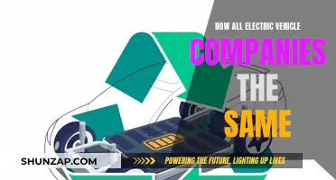Electric Vehicle Companies: A Monotonous, Uninspiring Future?
