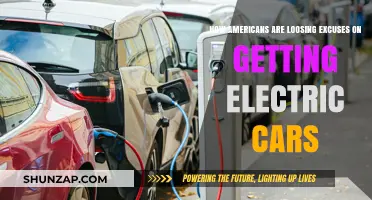 Electric Vehicles Gain Momentum: Americans Running Out of Reasons to Resist