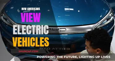 Electric Vehicles: American Attitudes and Perceptions