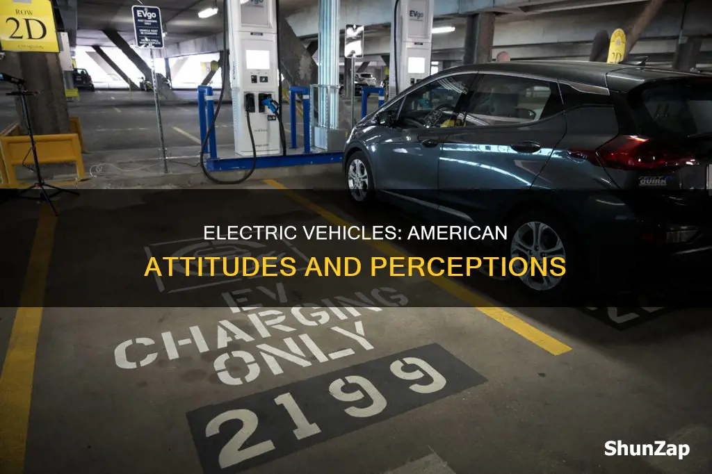 how americans view electric vehicles