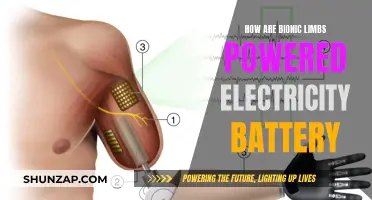 Powering Bionic Limbs: Electric Energy, Battery Revolution