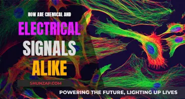 Chemical and Electrical Signals: Similarities in Communication