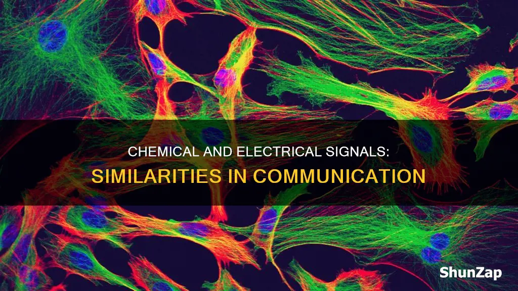 how are chemical and electrical signals alike