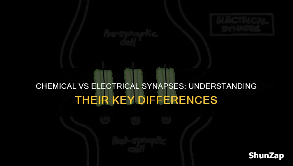 how are chemical and electrical synapses different