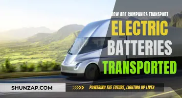 The Challenge of Transporting Electric Batteries: A Company's Guide