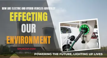 Electric Vehicles: Environmental Impact and Unseen Adversities