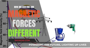 Electric and Magnetic Forces: What's the Core Difference?