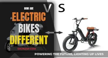 Electric Bike Mechanics: What Makes Them Unique?