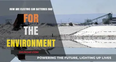 Electric Car Batteries: Environmental Impact and Sustainability Concerns