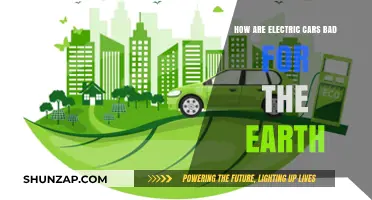 Electric Cars' Hidden Environmental Costs: Are They Truly Green?