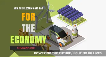 Electric Vehicles: Economic Downsides and Hidden Costs Explained