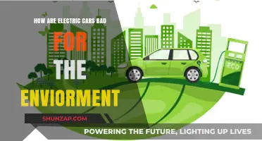 Electric Cars' Hidden Environmental Costs: Myths vs. Reality