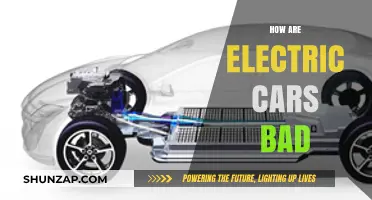 Electric Cars' Hidden Downsides: Environmental and Practical Concerns Explored