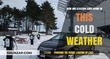 Electric Cars in Cold Weather: Performance, Challenges, and Solutions