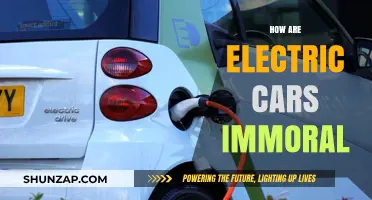 Electric Cars' Hidden Costs: Uncovering the Immoral Side of Green Energy