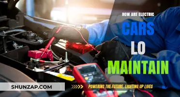 Electric Cars: Low Maintenance Secrets for Long-Lasting Performance