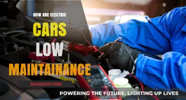 Electric Cars: The Low-Maintenance Future of Eco-Friendly Driving