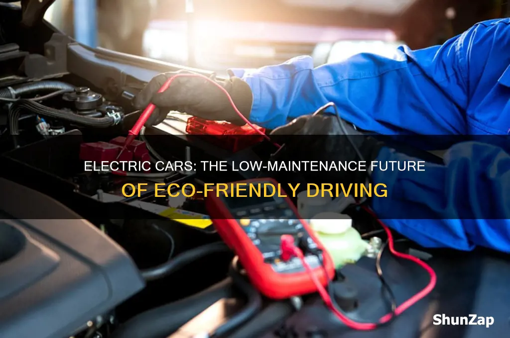 how are electric cars low maintainance
