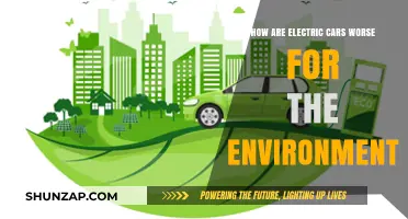 Electric Cars' Hidden Environmental Costs: Beyond the Green Hype