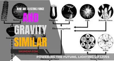 Electric Force and Gravity: A Study in Similarities