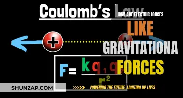 Electric and Gravitational Forces: Similarities in Nature's Laws