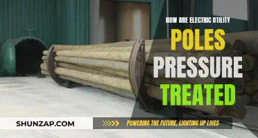 The Process of Pressure Treating Electric Utility Poles