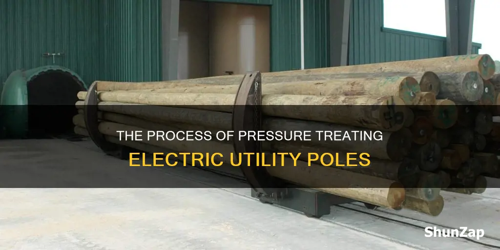how are electric utility poles pressure treated