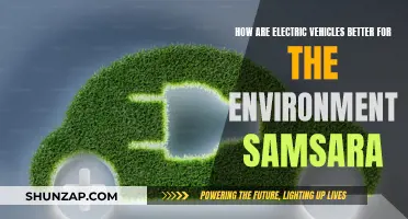Electric Vehicles: Greener, Cleaner, and Samsara's Future