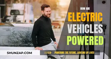 Electric Vehicles: Powering the Future of Transportation