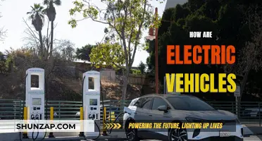 Electric Vehicles: Powering a Sustainable Future
