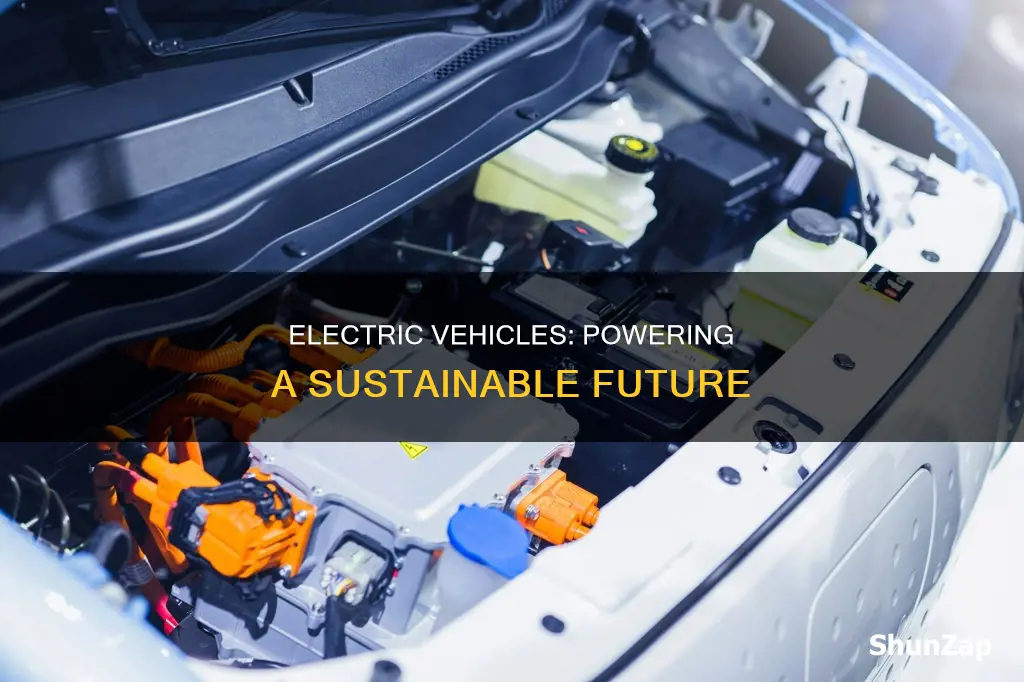 how are electric vehicles