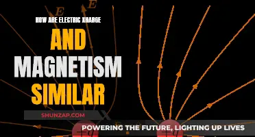 Electric Charge and Magnetism: Similarities in Force and Function