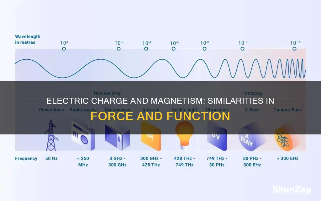 how are electric xharge and magnetism similar