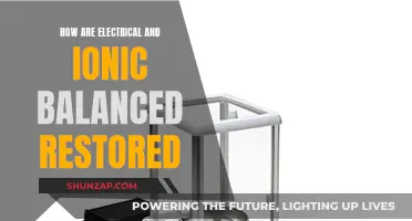 Restoring Electrical and Ionic Balance: A Complex Process