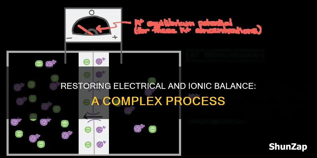 how are electrical and ionic balanced restored