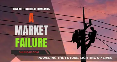 Electrical Companies: Market Failure and its Causes