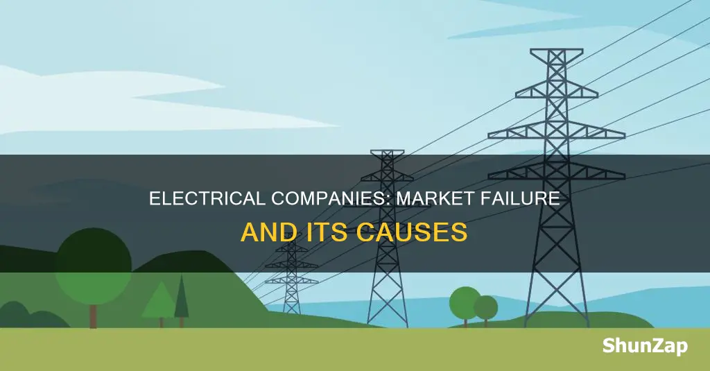 how are electrical companies a market failure