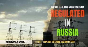 Russia's Electrical Greed: Regulating the Power Players