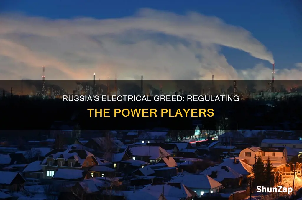 how are electrical greed companies regulated in russia
