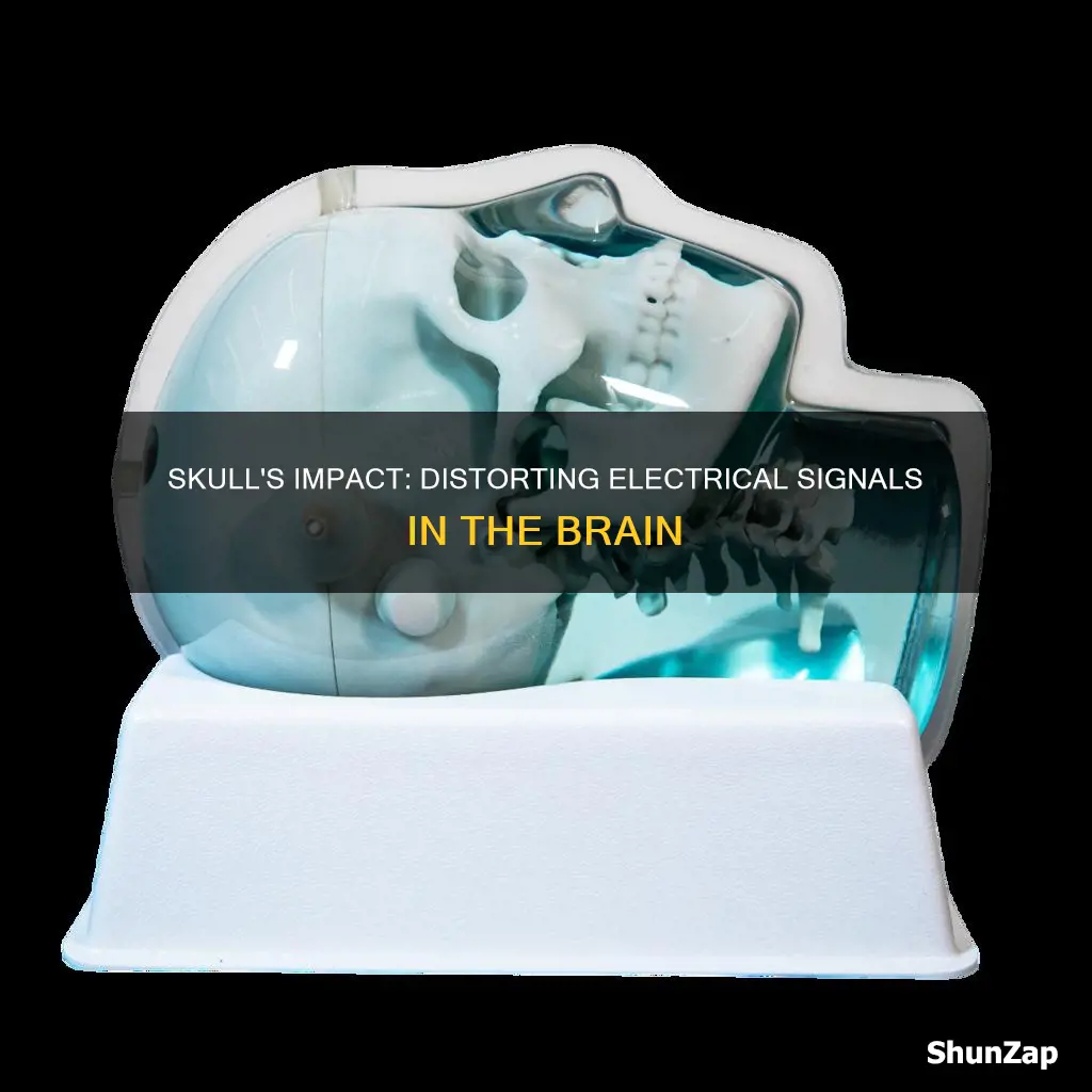 how are electrical signals distorted by skull