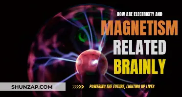 Electricity and Magnetism: A Fundamental Relationship