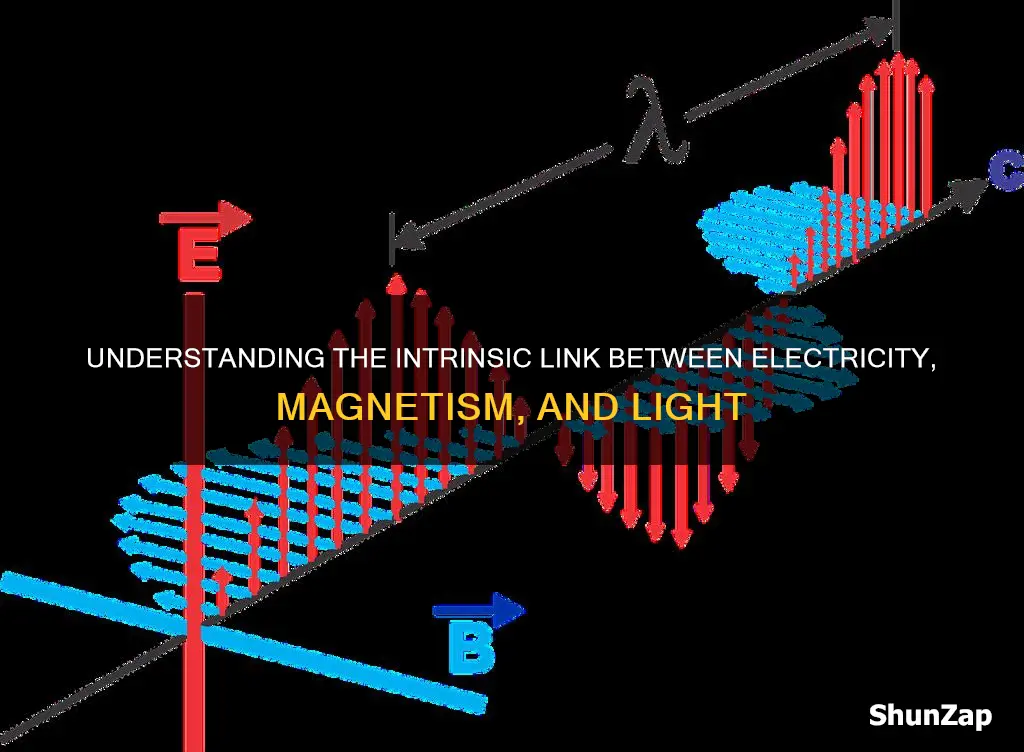 how are electricity magnetism and light related