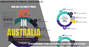 Electricity Pricing in Australia: Who Sets the Rates?