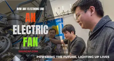 Electrons and Electric Fans: A Cool Spin on Similarities